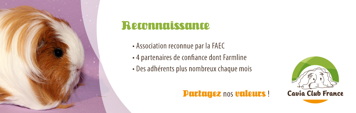 slide2