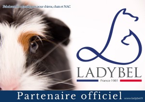 AFFICHETTE LADYBEL Cobaye